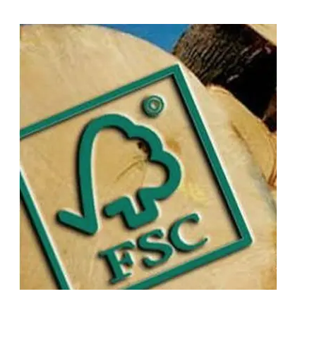 1666941382232029.png image.png