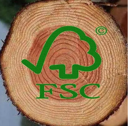 1666946375206236.png image.png