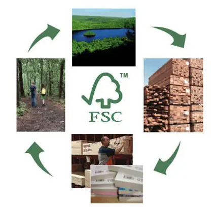 1667285554201003.png image.png