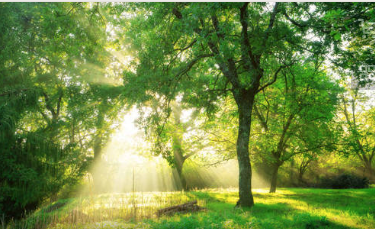 1667285886103540.png image.png