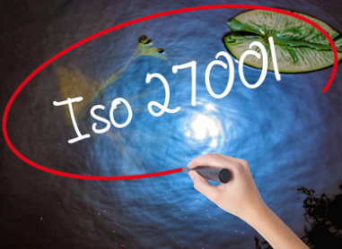 1668149934766231.png image.png