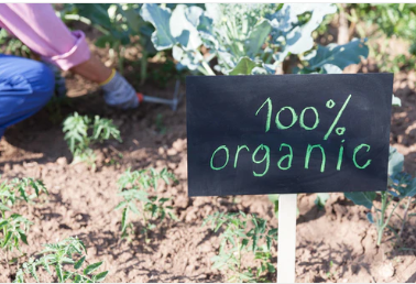 1686294770274904.png image.png