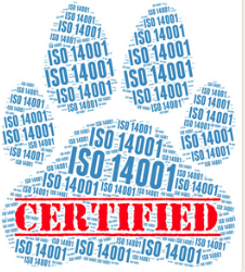 1691823843127453.png image.png